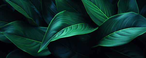 Elegant Green Leaves Abstract Background