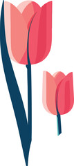 set of pink tulip