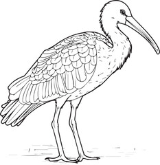 Heron on a branch line art coloring page design
