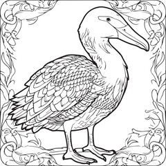 Drawing of a pelican line art coloring page design