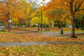 Public park covered in fallen leaves Gresham Oregon.