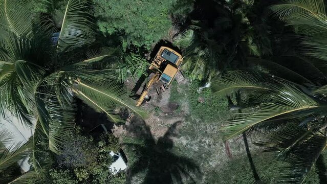A broken excavator in the midst of a tropical forest with coconut palms