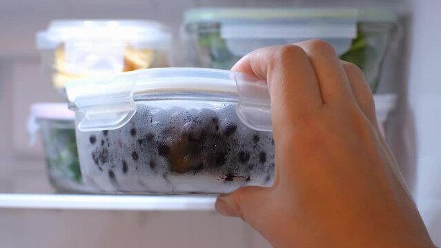 Female hand holds glass box with blueberries on background of refrigerator with other containers.