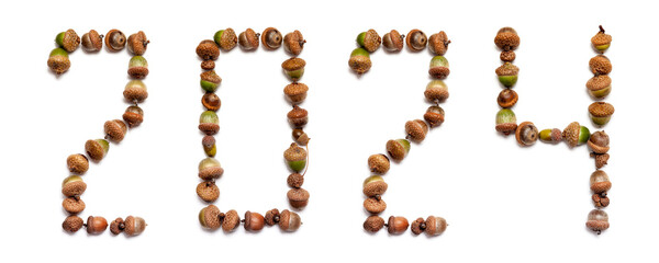 2024. Numbers composed of oak acorns