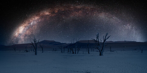 Dead Vlei with milky way galaxy - Sossusvlei, Namib desert, Namibia
