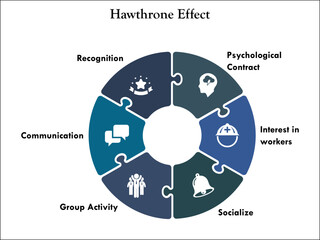 Six aspects of Hawthorne Effect - Psychological contract, Interest in workers, Socialize, Group Activity, Communication, Recognition. Infographic template with icons