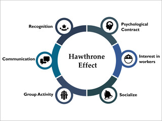 Six aspects of Hawthorne Effect - Psychological contract, Interest in workers, Socialize, Group Activity, Communication, Recognition. Infographic template with icons
