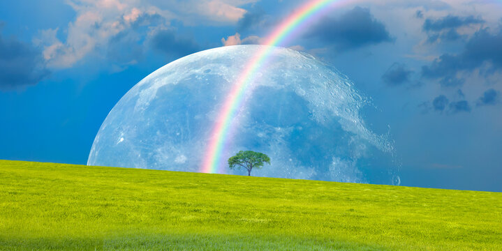 Beautiful landscape with lone tree stands in a green field on the background full moon and rainbow  "Elements of this image furnished by NASA "