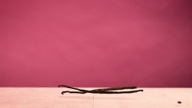 Vanille pod falling on surface in super slow motion with purple beackground. 