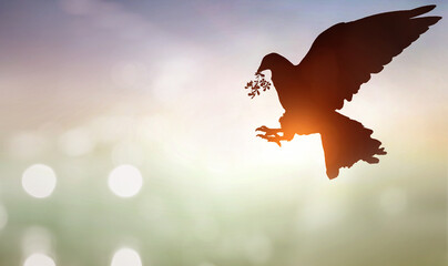 peace and hope concept, silhouette of bird carrying leaf branch on sunset background
