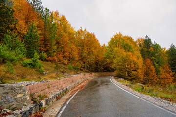 Mountain Road  through Thethi National Park in northern Albania showing the magnificent colors of Autumn. 