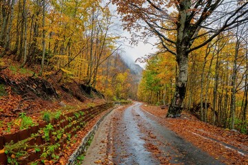 Mountain Road  through Thethi National Park in northern Albania showing the magnificent colors of Autumn. 