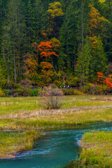Jiuzhaigou , Unesco nature reserve and national park during autumn in Ngawa Tibetan and Qiang in Sichuan , China : 17 October 2023 - obrazy, fototapety, plakaty