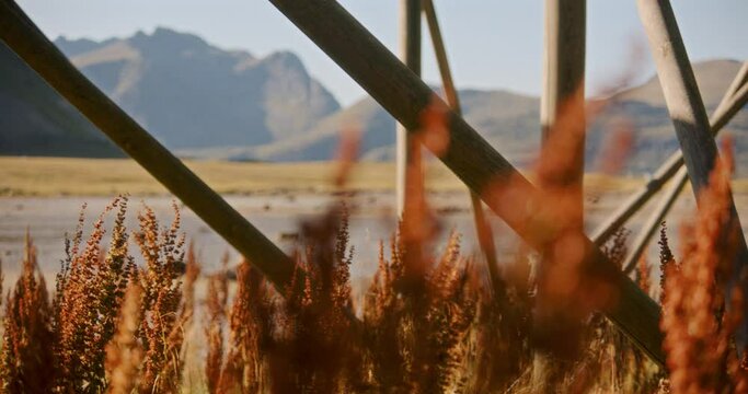 Dock Weeds And Wood Structure Against Mountains