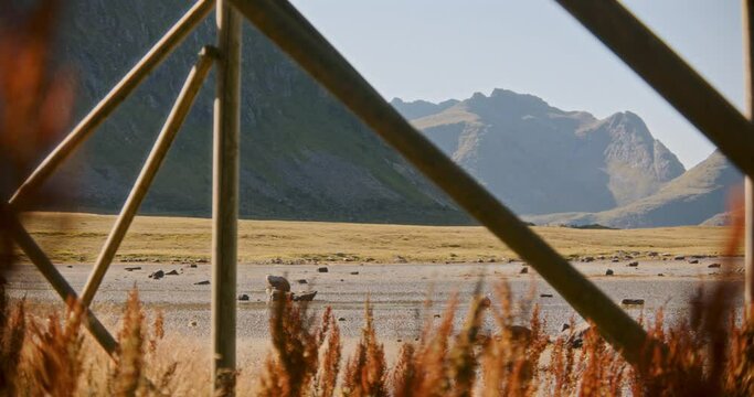 Stockfish Structure Against Mountain Scenery