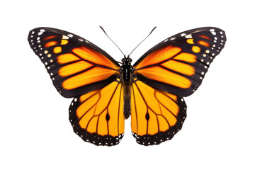 Obraz premium A beautiful butterfly flying isolated on transparent background.