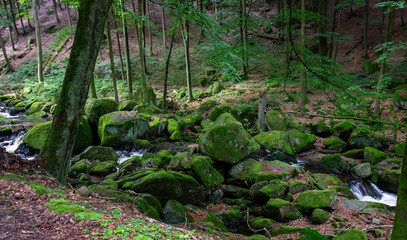 Small waterfall in deep forest covered with green trees. Amazing landscape with a small waterfall in a forest with stone 
