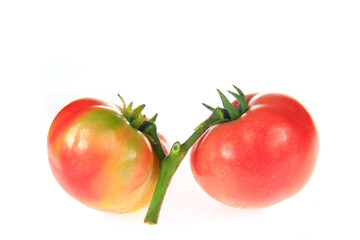 Tomatoes isolated on a white background