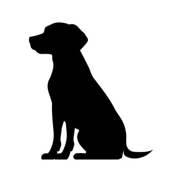 Sitting Labrador Retriever vector silhouette