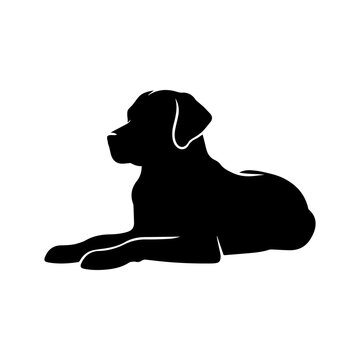 Lying Labrador Retriever vector silhouette