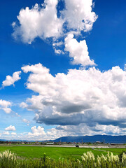 the landscape view is a green plant farmland farm with mountain and house in rural area countryside spring sunny weather morning with white cloudy cloud cloudscape on blue bright sunlight sky horizon