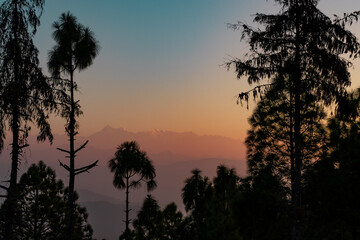 Fototapeta na wymiar Mist weaves through the Mountain trees, creating an enchanting and mystical atmosphere In Uttarakhand Ekukhet Kumaon 