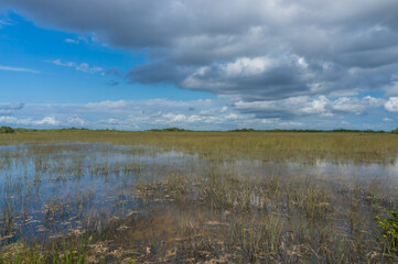 Everglades national park