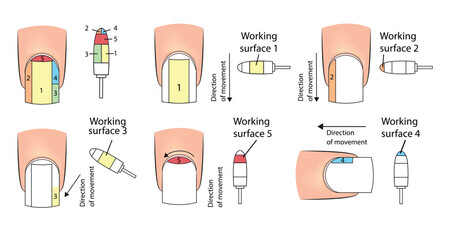 Illustration with working surfaces for a nail manicure cutter. Educational material