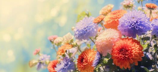 Fototapeta na wymiar Summer flowers