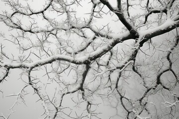 Snowy Textures: Highlight the tactile and textural aspects of snow, like the way it clings to branches or forms drifts. - Generative AI