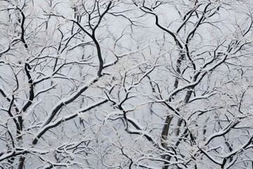 Snowy Textures: Highlight the tactile and textural aspects of snow, like the way it clings to branches or forms drifts. - Generative AI