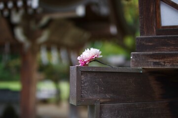 和風イメージ〜花モチーフの髪飾り