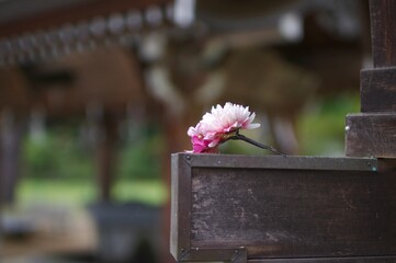 和風イメージ〜花モチーフの髪飾り