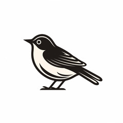 bird isolated on white background