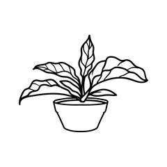 coloring book love wave plant black and white