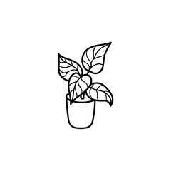 coloring book anthurium plant black and white