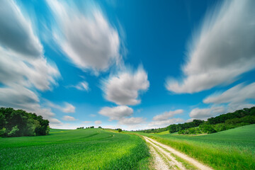 Landscape with green fields, tree, and dramatic blue sky.