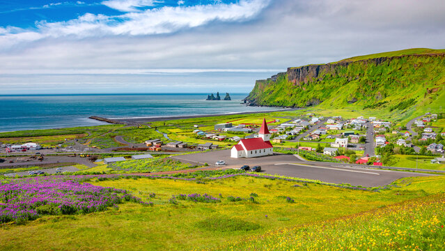 Panoramic view of basalt stacks Reynisdrangar, volcanic black sand beach and violet lupine and yellow meadow flowers at Vik town with Myrdal church, Iceland, at summer sunny day and blue sky.