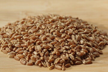 close up of wheat grains