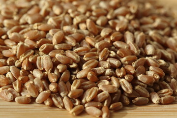 close up of wheat grains