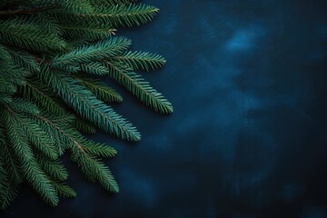 Top view of green fir tree branches on a bluebackground.