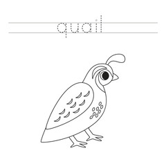 Trace the letters and color cartoon quail. Handwriting practice for kids.