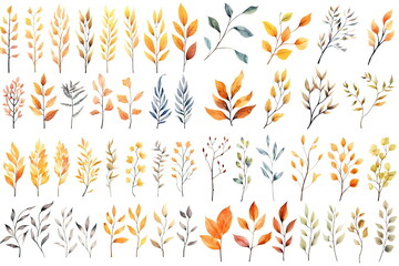 Fototapeta premium Watercolor set of fall branches on white background