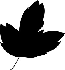 Silhouette of maple leaf, element of Thanksgiving day festive table decoration. Maple leaf contour holiday symbol. Simple black shape vector icon isolated on white background