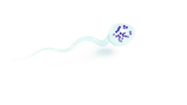Glass sperm with DNA biology laboratory genetic able to loop seamless 4k