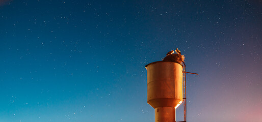 Panoramic View Of Starry Sky At Night. Night Clear Sky. Storks Sit On A Water Tower. Night Romance...