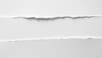 A piece of torn white paper on a white background.