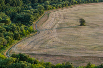 Agricultural Rolling Spring Autumn Landscape. Natural Landscape In Brown And Yellow Color. Waved Cultivated Row Field And Tree. Striped Undulating Unreal Abstract Plowed Field