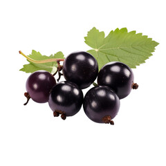 Blackcurrant isolated on transparent background