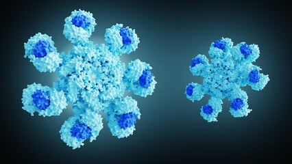 3D rendering of  human apoptosome molecule contains seven Apaf-1 molecules symmetrically arranged in a wheel-shaped structure to form a central hub